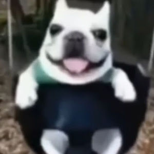 Meet your Posher, Gabi